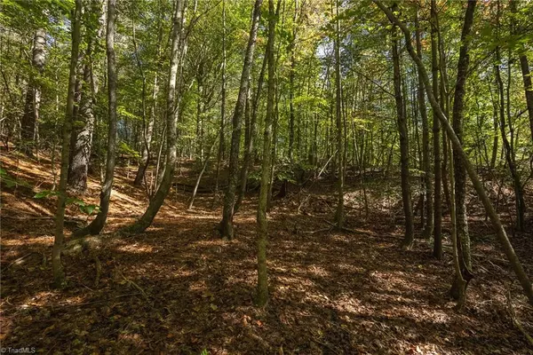 Moravian Falls, NC 28654,00 E brocktown RD