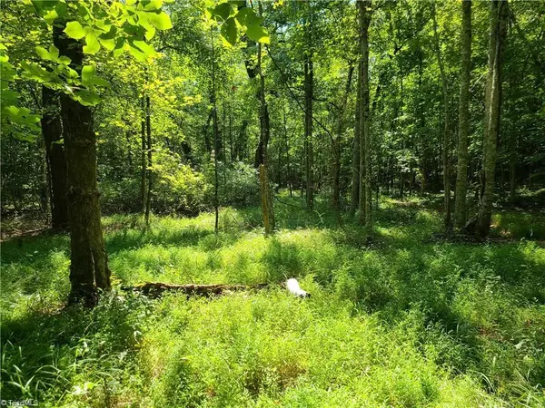 Pilot Mountain, NC 27041,00 Grassy Knob RD #12