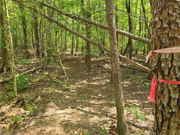 Pilot Mountain, NC 27041,00 Grassy Knob RD #10