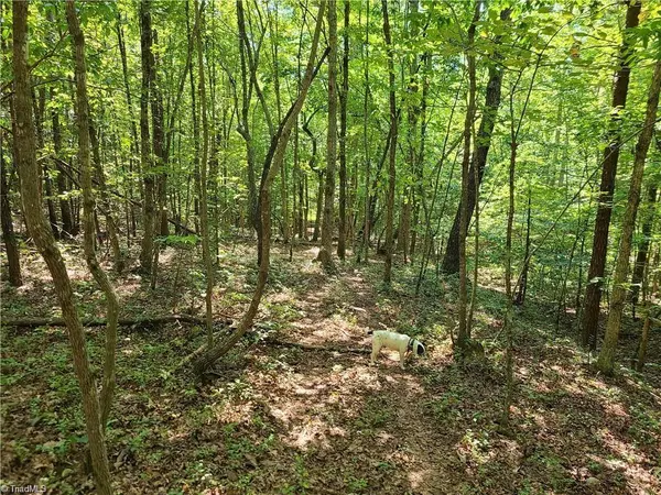 Pilot Mountain, NC 27041,00 Grassy Knob RD #10
