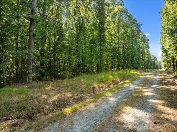 Snow Camp, NC 27379,9650 Twisted Oak TRL