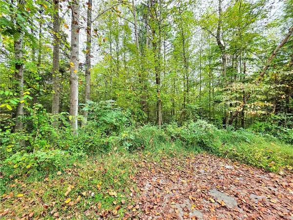 Lot 1 Holder ST, Hays, NC 28635