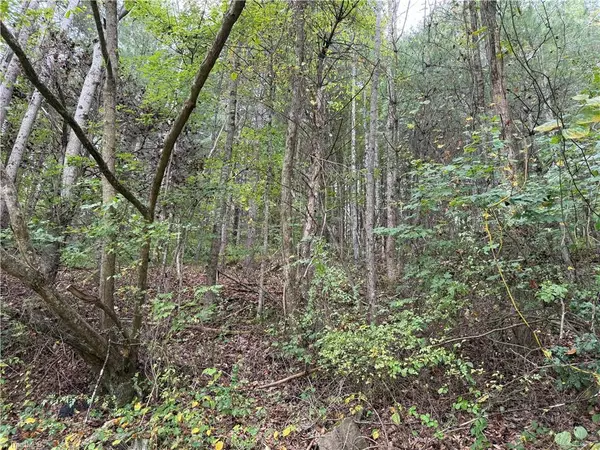 Mcgrady, NC 28649,11979 Sparta RD