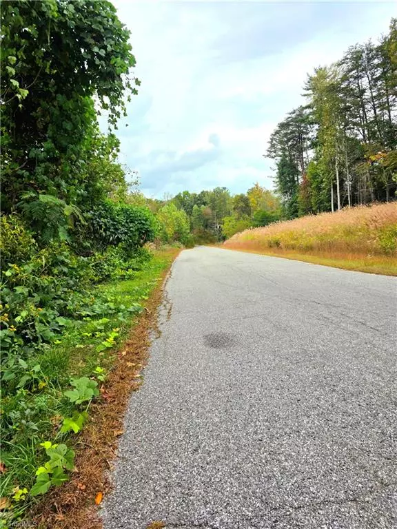 North Wilkesboro, NC 28659,000 Holly Brook ST