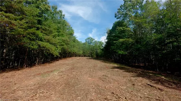 Westfield, NC 27053,0 Dearmin RD