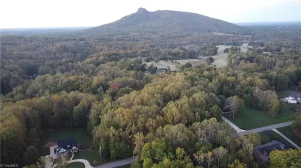 Pilot Mountain, NC 27041,TBD Golf Course RD
