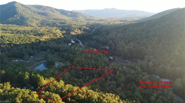 Lowgap, NC 27024,TBD Fisher Peak TRL