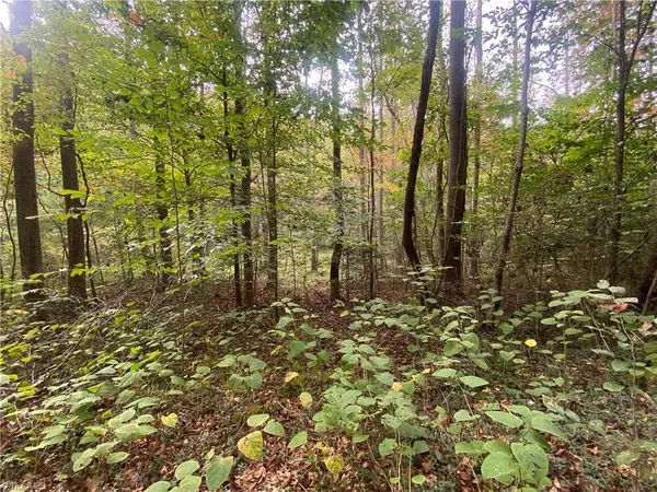 00 Bear Hollow LN, North Wilkesboro, NC 28659