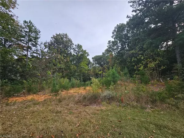 Snow Camp, NC 27349,6530 Treetop CT
