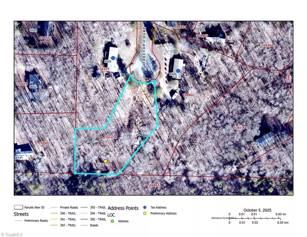 Snow Camp, NC 27349,6530 Treetop CT