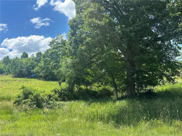 0 Mulberry Academy ST, Franklinville, NC 27248