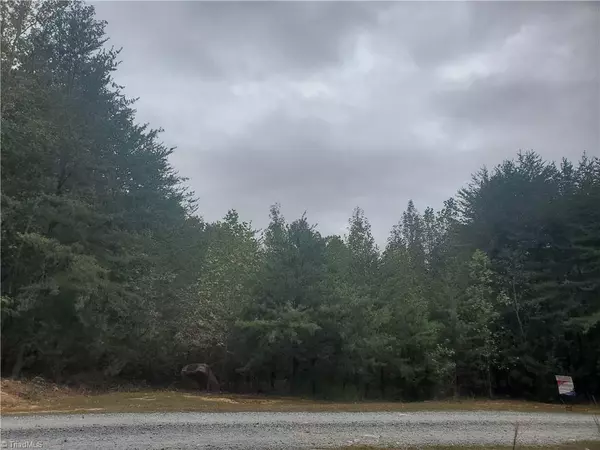 Franklinville, NC 27248,0 Pepperstone DR