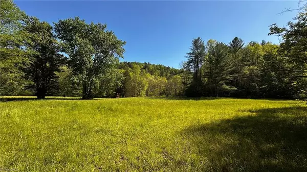 Boomer, NC 28606,6802 Nc Highway 18