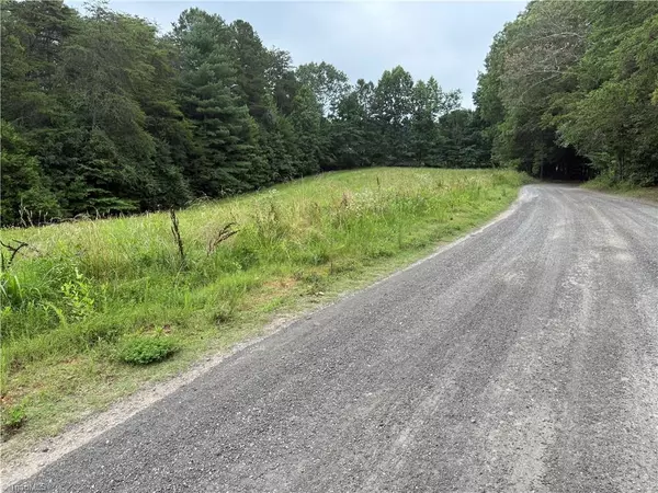 King, NC 27021,Lot 3 Rock Haven DR