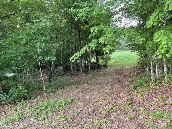 King, NC 27021,Lot 4 Rock Haven DR