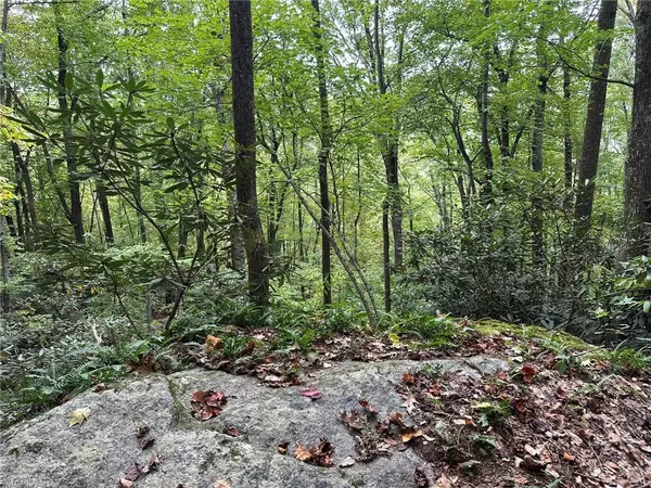 Ferguson, NC 28624,0000 Timber Ridge RD