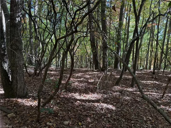 Thurmond, NC 28683,TBD Royall RD