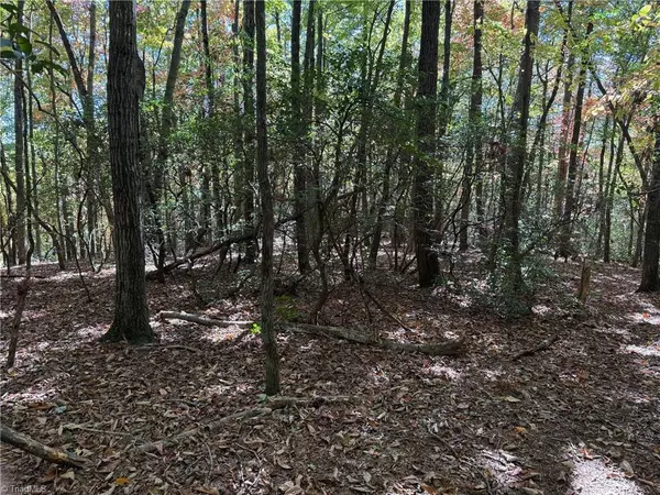 Thurmond, NC 28683,TBD Royall RD