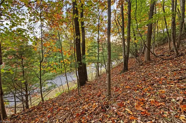 Lot 13 Ivy Ridge RD, Deep Gap, NC 28618