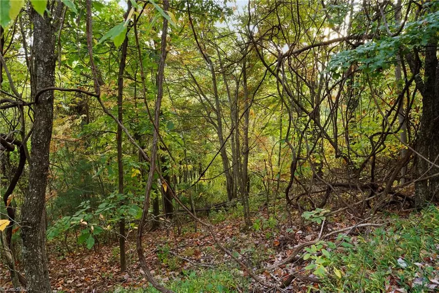 Lot 16 Little Ivy LN, Deep Gap, NC 28618