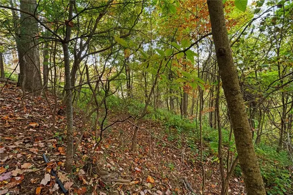 Deep Gap, NC 28618,Lot 16 Little Ivy LN