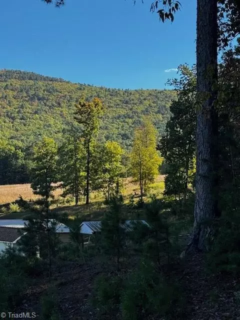 Danbury, NC 27016,1359 Hanging Rock Park RD