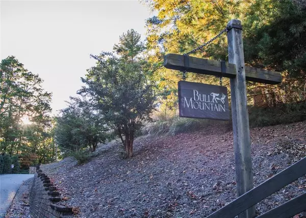 Millers Creek, NC 28651,TBD Lot 17 Chestnut Falls DR