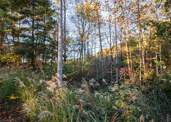 Millers Creek, NC 28651,TBD Lot 17 Chestnut Falls DR