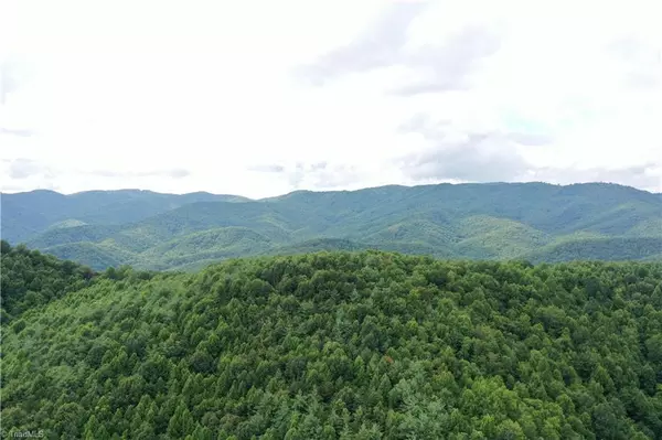 Mcgrady, NC 28649,1501 Buckwheat RD