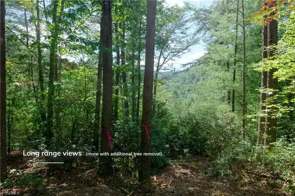 Morganton, NC 28655,1960 Rich Mountain RD