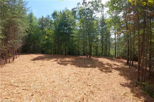 Morganton, NC 28655,1960 Rich Mountain RD