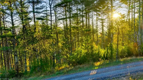 West Jefferson, NC 28694,TBD 19 Davis Acres DR