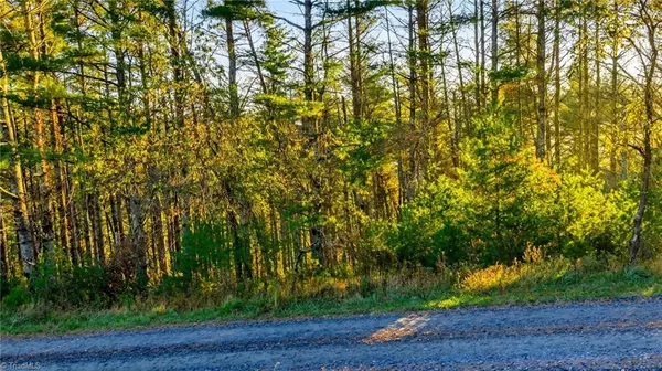 West Jefferson, NC 28694,TBD 18-19 Davis Acres DR