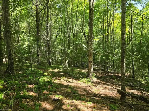 West Jefferson, NC 28694,TBD 50 Deer Spring LN