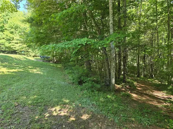 West Jefferson, NC 28694,TBD 50 Deer Spring LN
