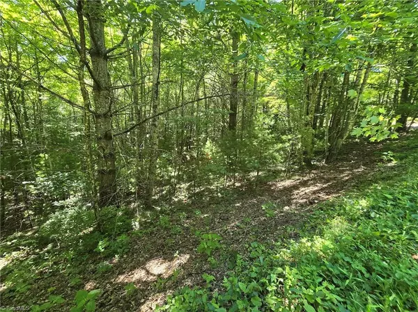 West Jefferson, NC 28694,TBD 50 Deer Spring LN