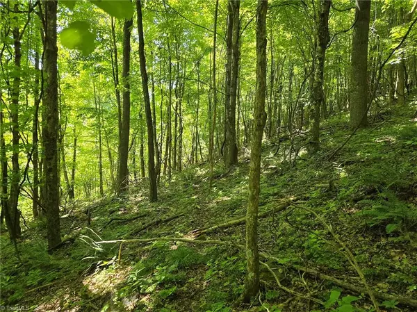 West Jefferson, NC 28694,TBD 66 White Tail TRL