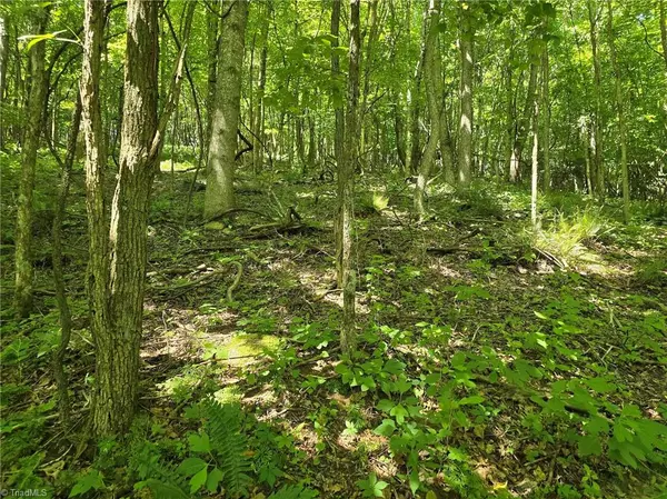 West Jefferson, NC 28694,TBD 66 White Tail TRL