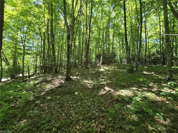 West Jefferson, NC 28694,TBD 76 White Tail TRL