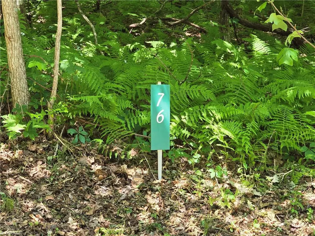 West Jefferson, NC 28694,TBD 76 White Tail TRL