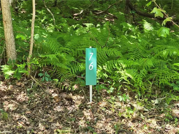 TBD 76 White Tail TRL, West Jefferson, NC 28694