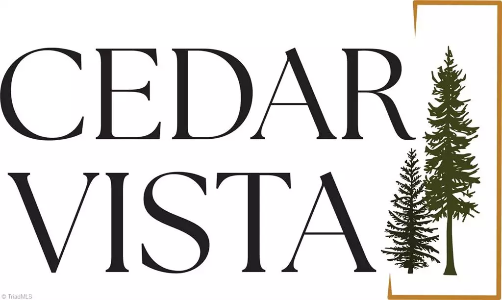 Mocksville, NC 27028,128 Orchard Grass CT