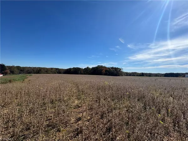 Hamptonville, NC 27020,3740 Mauldin RD