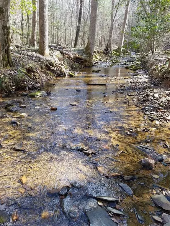 Mount Airy, NC 27030,1261 Turkey Ford RD