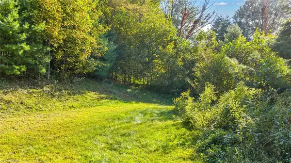 West Jefferson, NC 28694,TBD Mulatto Mountain RD