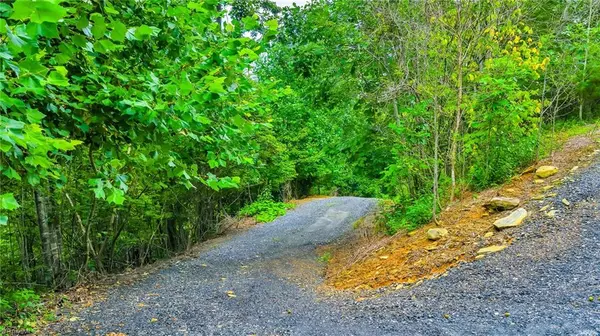 Lansing, NC 28643,TBD Deep Ford RD