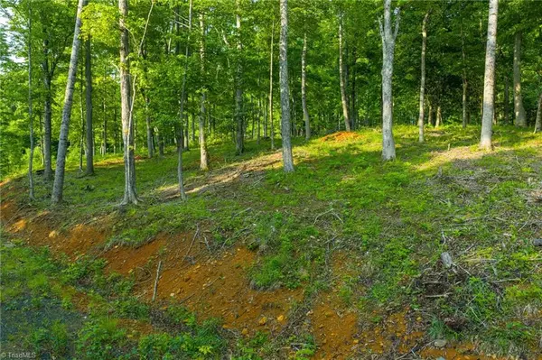 West Jefferson, NC 28694,10 Autumn LN