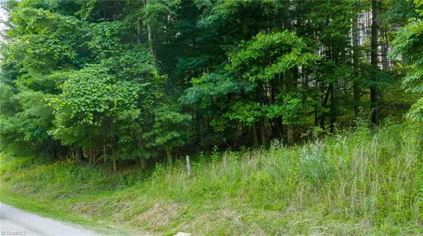 Crumpler, NC 28617,TBD 16 Bill Cooper RD