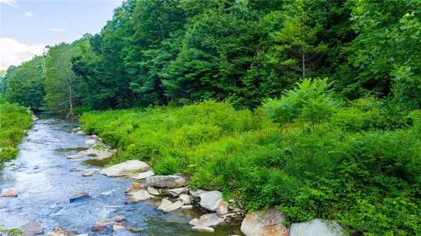 Creston, NC 28615,TBD 7 Big Laurel RD