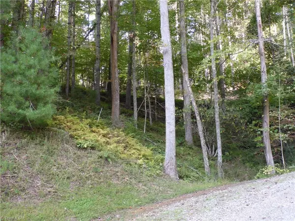 Piney Creek, NC 28663,TBD Woodlands DR